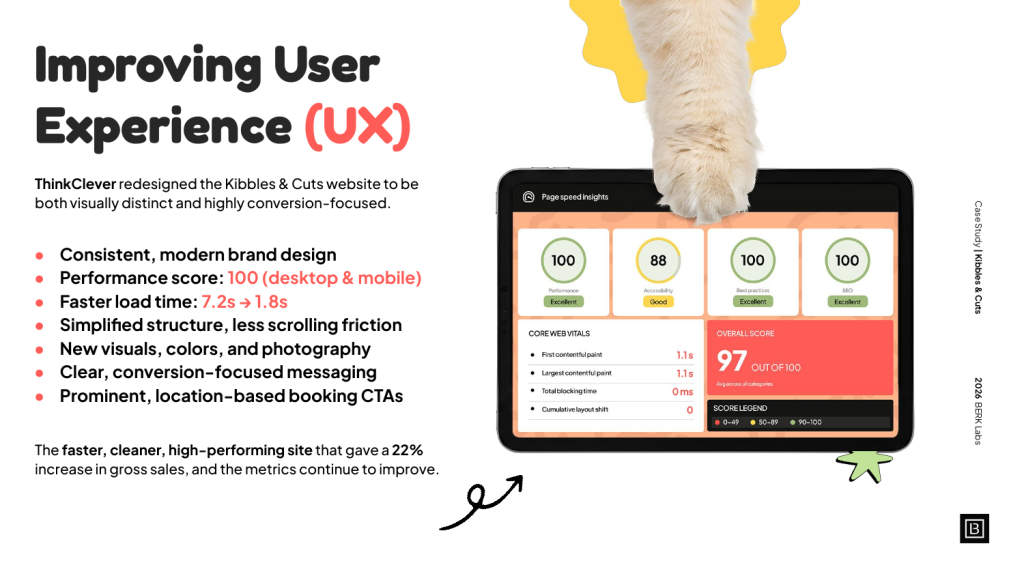 PageSpeed Insights showing a perfect 100 score
